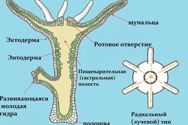 Кракен даркнет купить