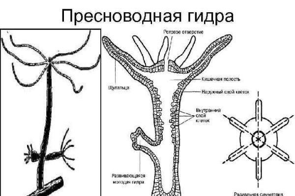 Кракен не работает сайт