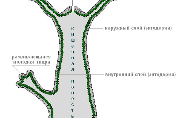 Кракен вывод средств