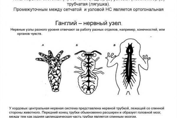 Кракен зеркало прокатис